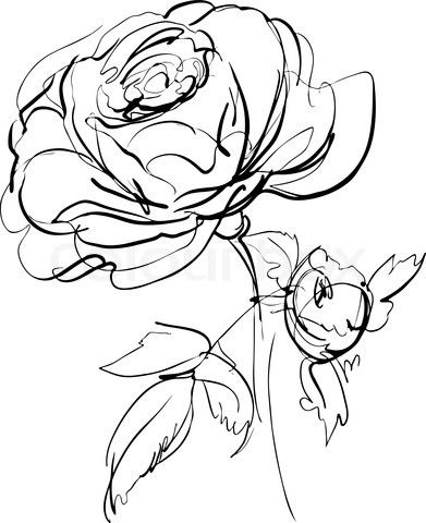 391x480 English Rose, I Want A Sketch Like This To Match The Sketch Style - English Rose Drawing