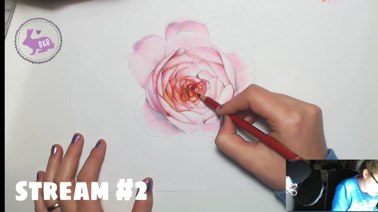 1280x720 drawing an english rose with copic markers pencil crayons - English Rose Drawing