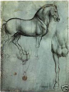 225x300 da vinci drawings - Equestrian Drawings