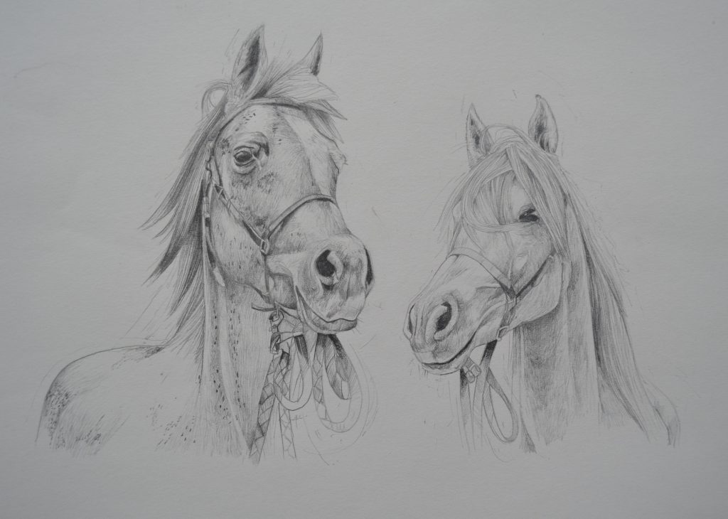 1024x730 equestrian drawings stuart palmer art - Equestrian Drawings