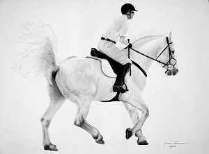 300x222 equestrian - Equestrian Drawings
