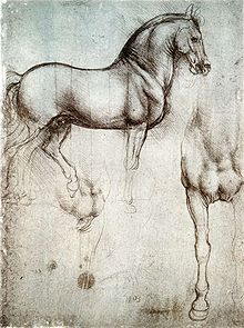 220x295 leonardo's horse - Equestrian Drawings