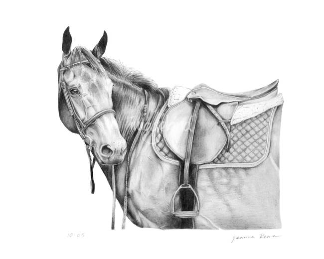 650x520 stunning horse pencil drawings and illustrations for sale - Equestrian Drawings