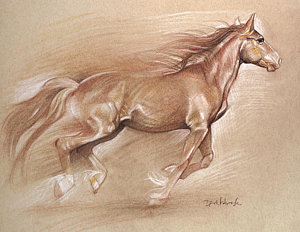 300x232 Running Wild Horses Drawings Fine Art America - Equine Drawings