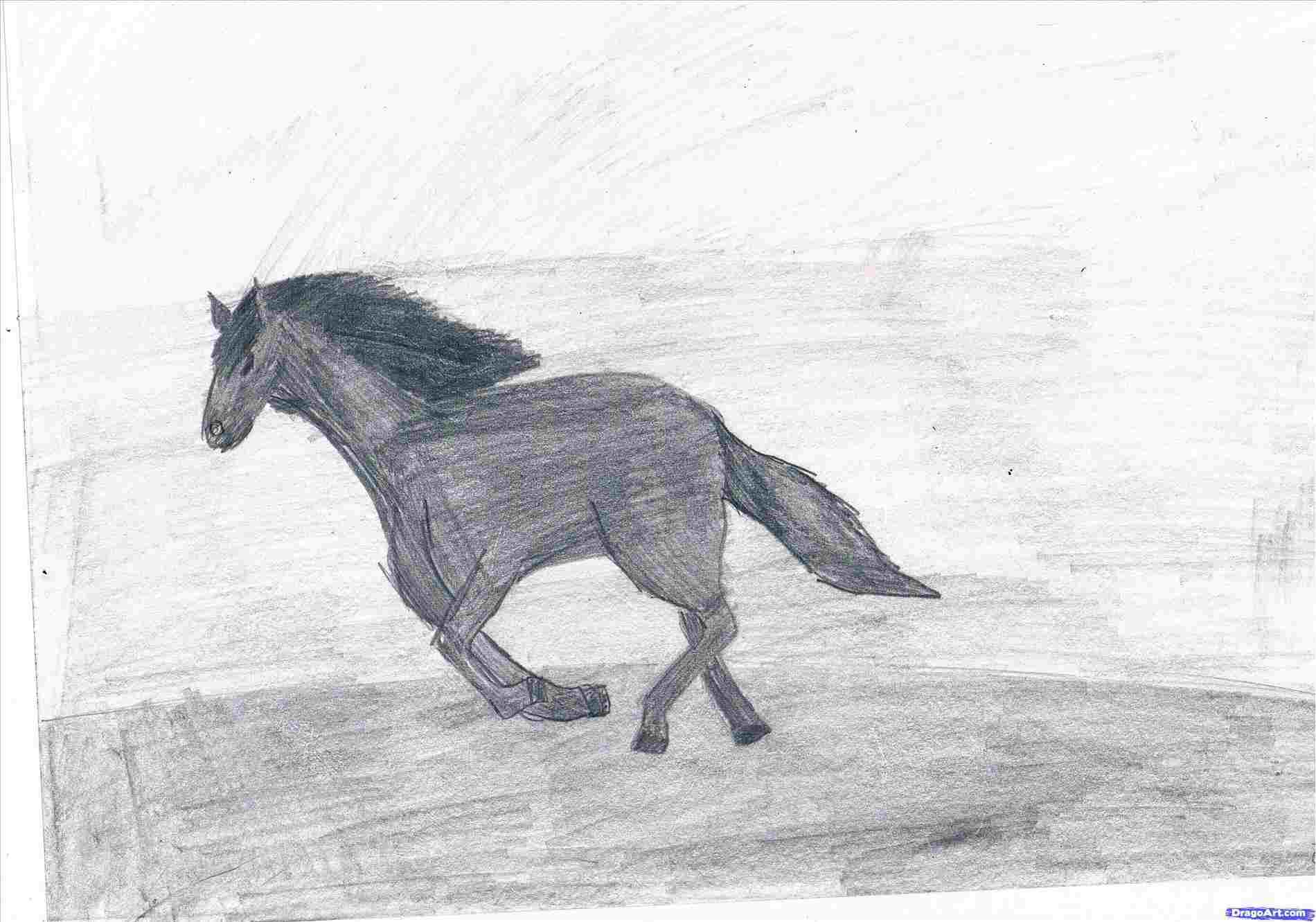 1900x1331 Running Pencil Drawings Of Running Horses Horse Original Drawing - Equine Drawings