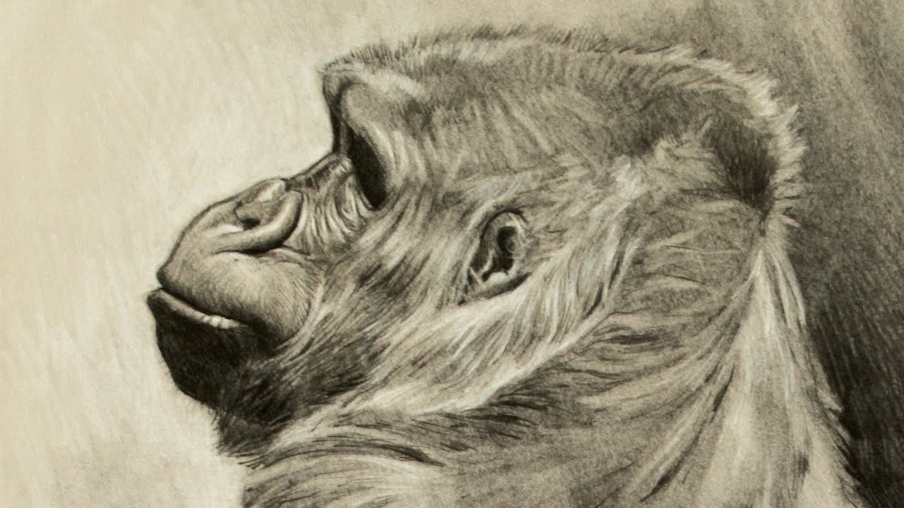 1280x720 drawing with your eraser - Eraser Drawing