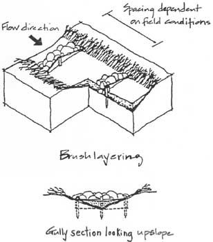 308x350 Gully Erosion Drawing Illustrating Brush Layering Over A Gully - Erosion Drawing
