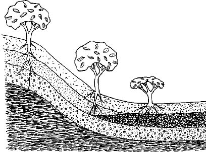408x302  - Erosion Drawing