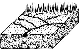 268x168  - Erosion Drawing