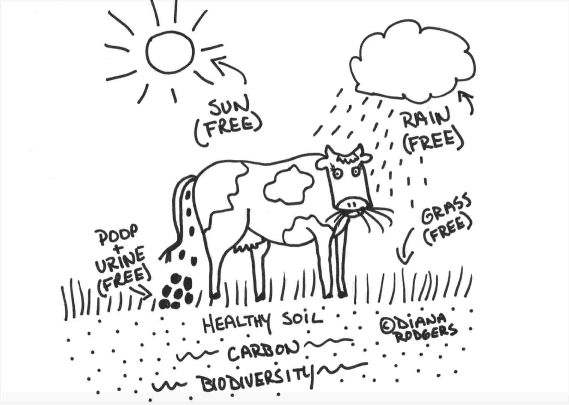 1899x1354 Response Erosion - Erosion Drawing