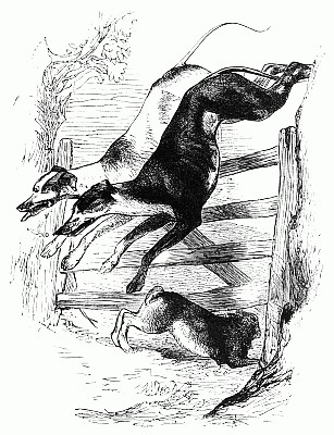 307x400 filerabbit escape drawing - Escape Drawing