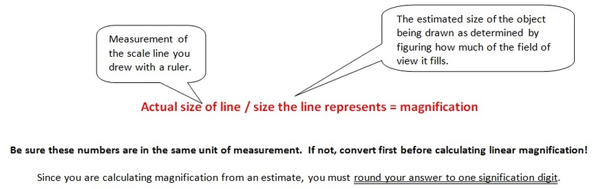 866x276 Lab Drawings - Estimate Drawing