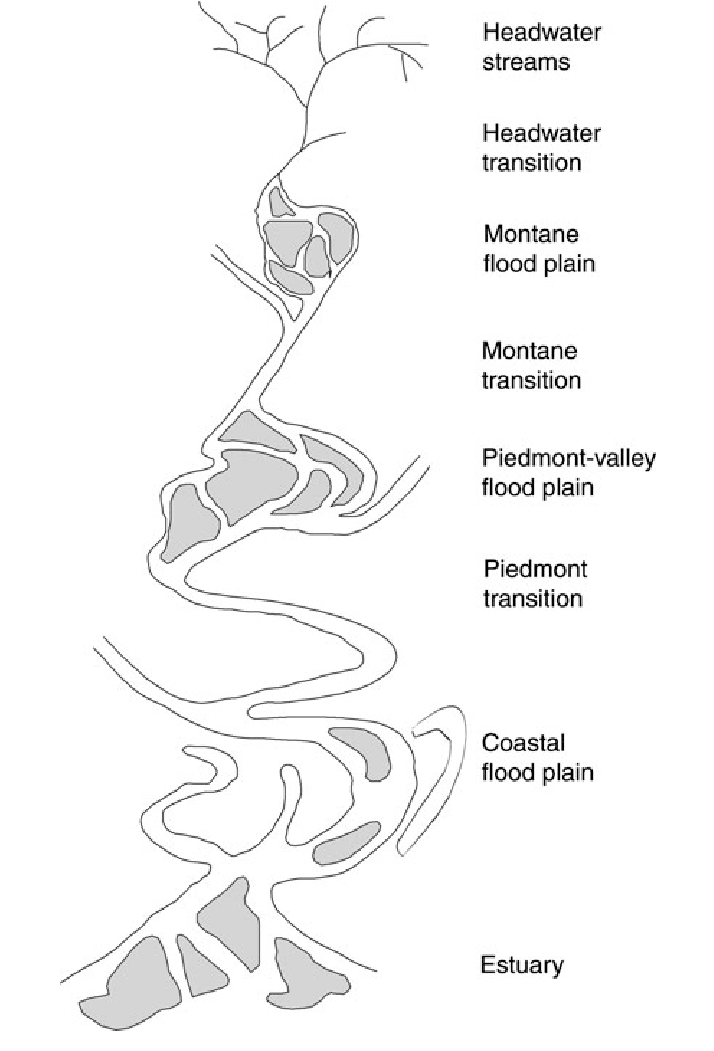 714x1051 Schematic Drawing Of The Biophysical Continuum For A River System - Estuary Drawing