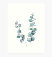 210x230 eucalyptus drawing wall art redbubble - Eucalyptus Drawing