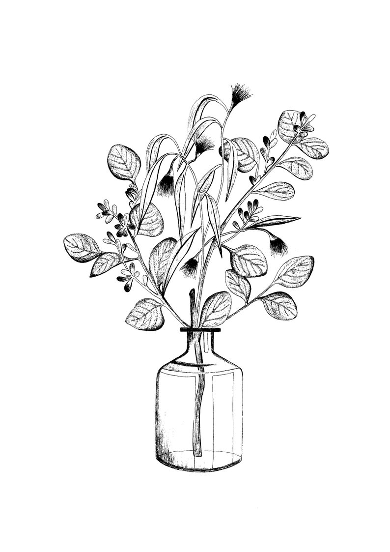 794x1123 eucalyptus print botanical print plant drawing plant ink etsy - Eucalyptus Drawing