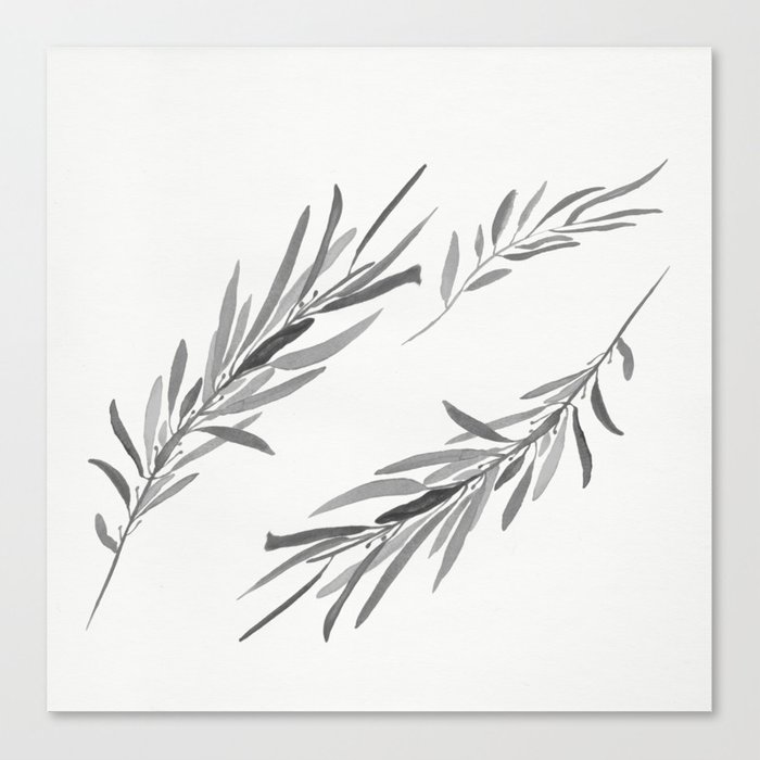 700x700 Eucalyptus Leaves Black And White Canvas Print - Eucalyptus Leaves Drawing