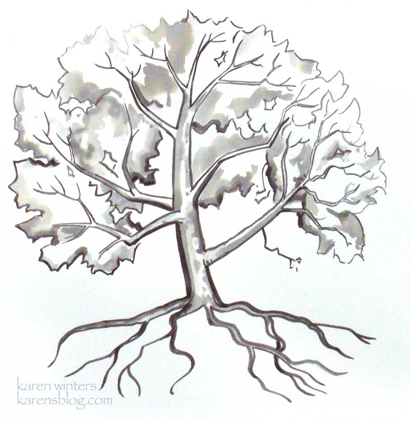 800x821 eucalyptus drawing free download - Eucalyptus Tree Drawing