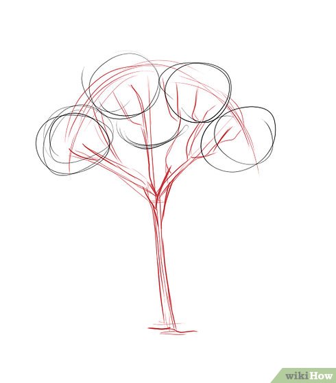 490x559 How To Draw A Gum Tree Steps - Eucalyptus Tree Drawing