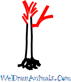 300x350 how to draw an eucalyptus tree - Eucalyptus Tree Drawing