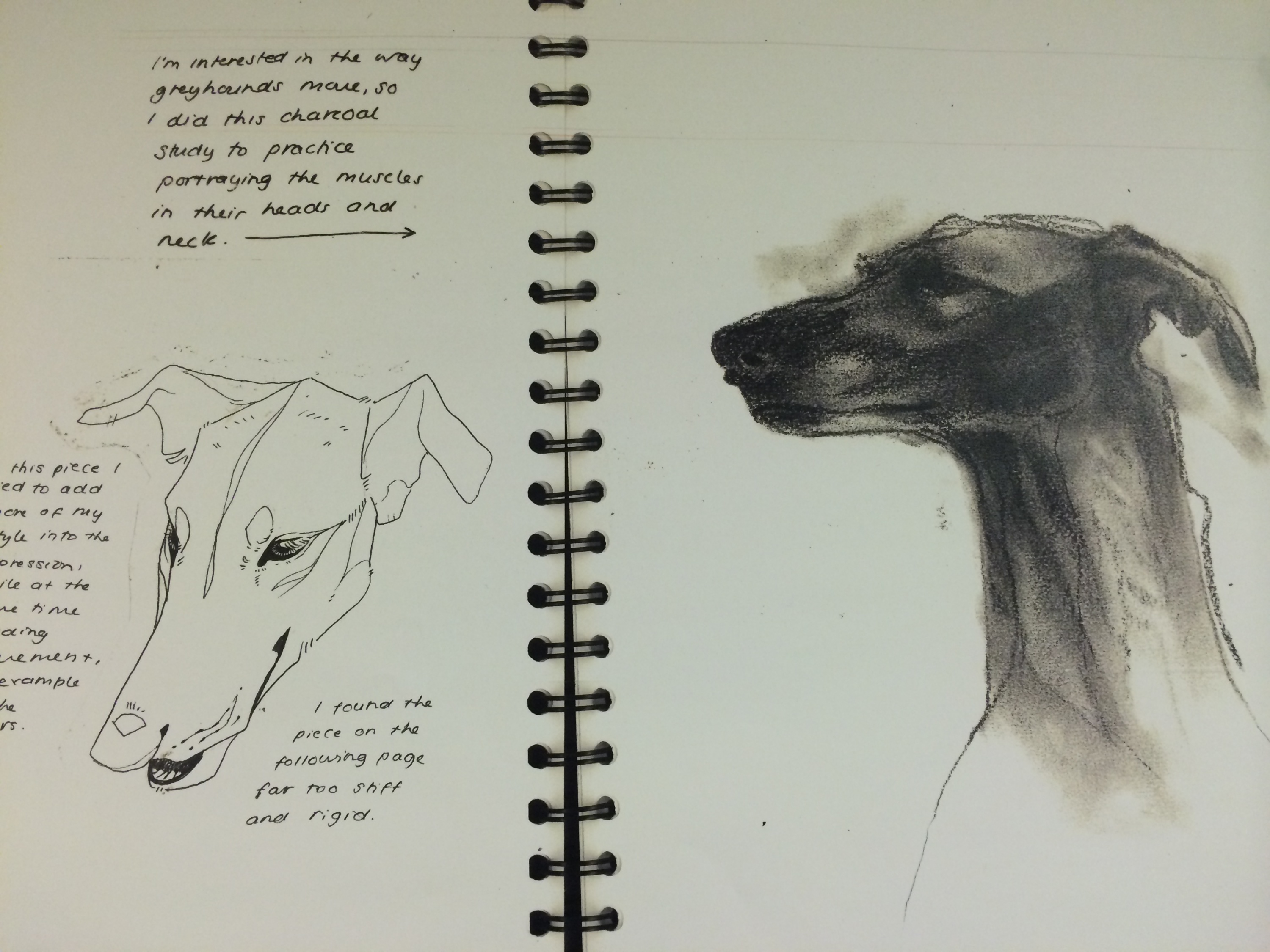 3000x2250 Evening Drawing Hereford College Of Arts - Evening Drawing