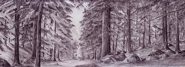 600x217 Evergreen On Twitter Beautiful Pencil Drawing Of Inverfarigaig - Evergreen Drawing