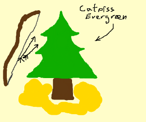 300x250 Katpiss Evergreen Drawing - Evergreen Drawing