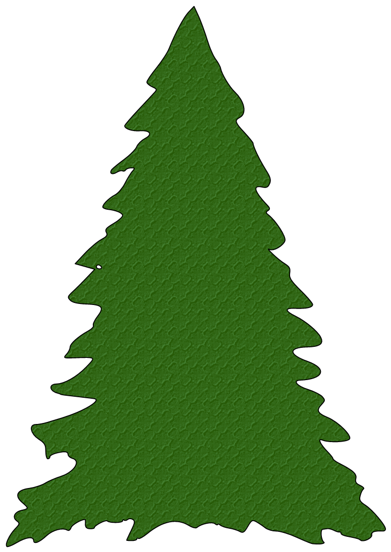 775x1095 evergreen tree with snow picture freeuse - Evergreen Tree Drawing