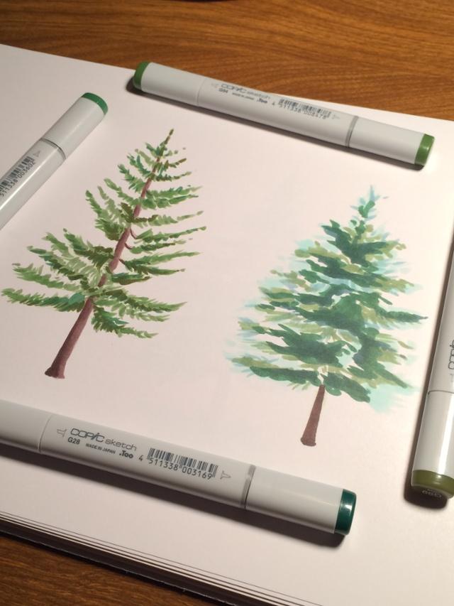 Evergreen Tree Drawing at Explore collection of