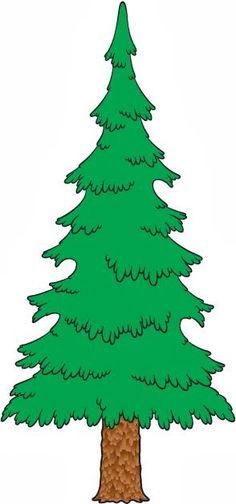 236x504 tree clip art evergreen tree - Evergreen Tree Drawing
