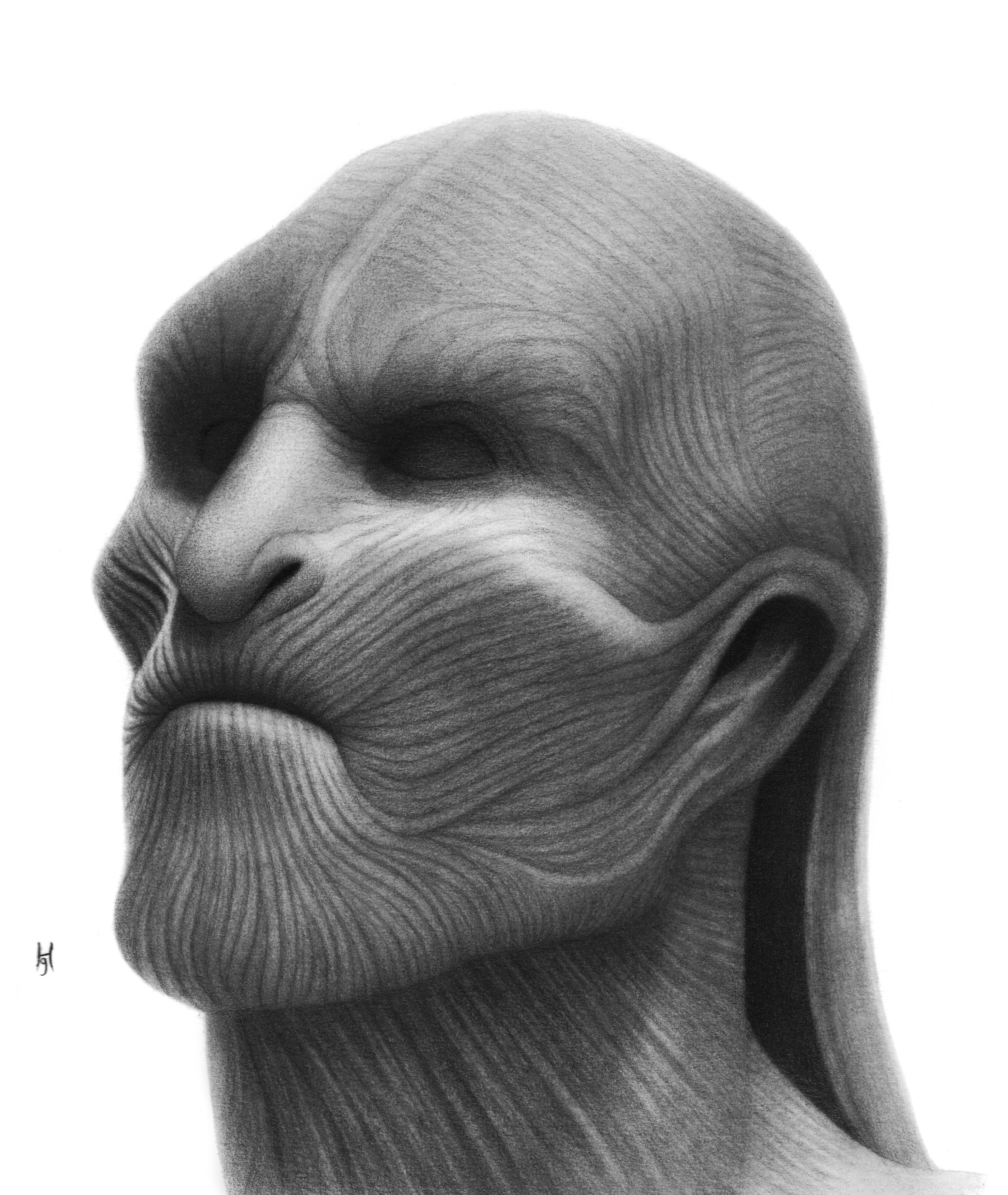 4788x5672 everything drawing of white walker i did gameofthrones - Everything Drawing