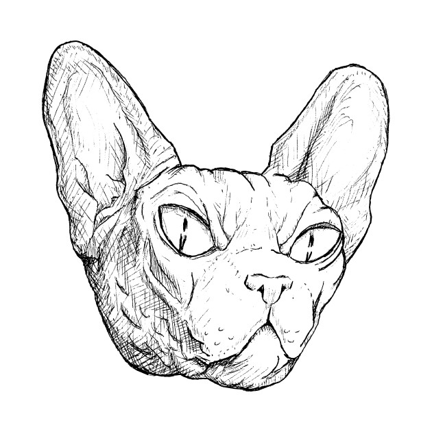 630x630 Evil Cat Ink Sketch - Evil Cat Drawing