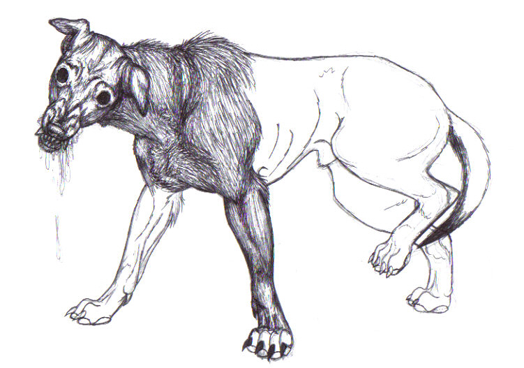 751x527 Evil Dog Drawing - Evil Dog Drawing
