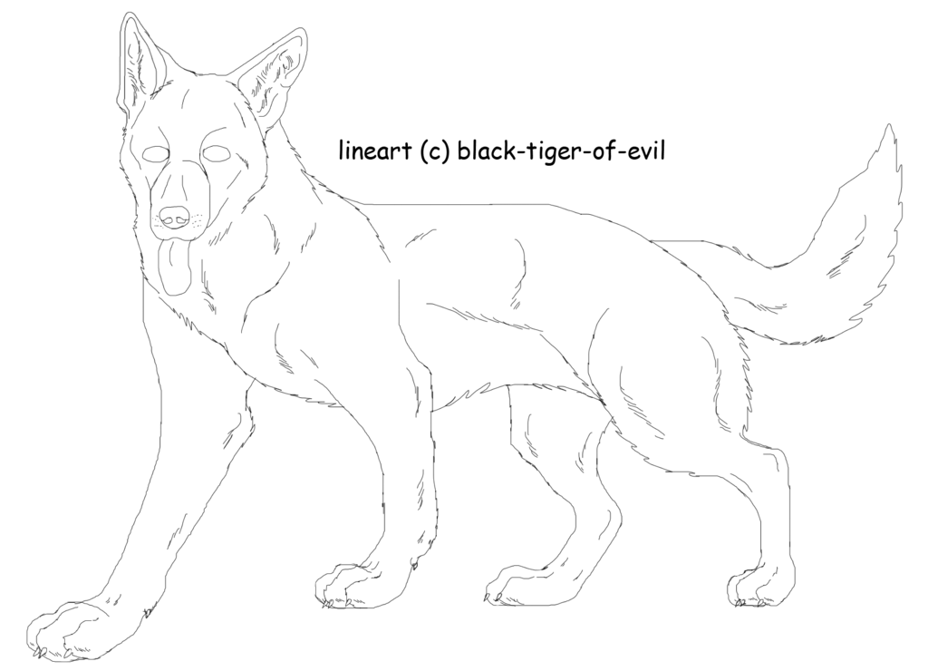 1024x740 Evil Dog Black And White Stock - Evil Dog Drawing