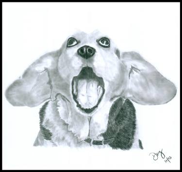 375x353 Hear No Evil Drawing - Evil Dog Drawing