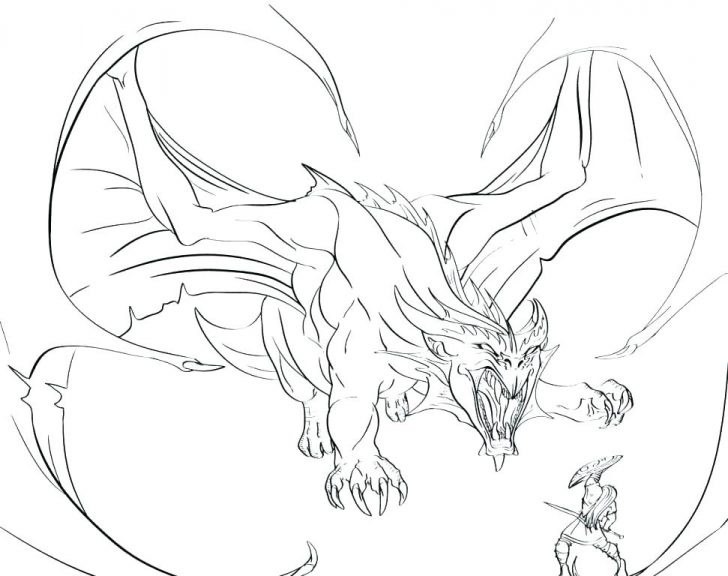 728x576 Evil Dragon Coloring Pages For Adults Sheets Dungeons And Dragons - Evil Dragon Drawing