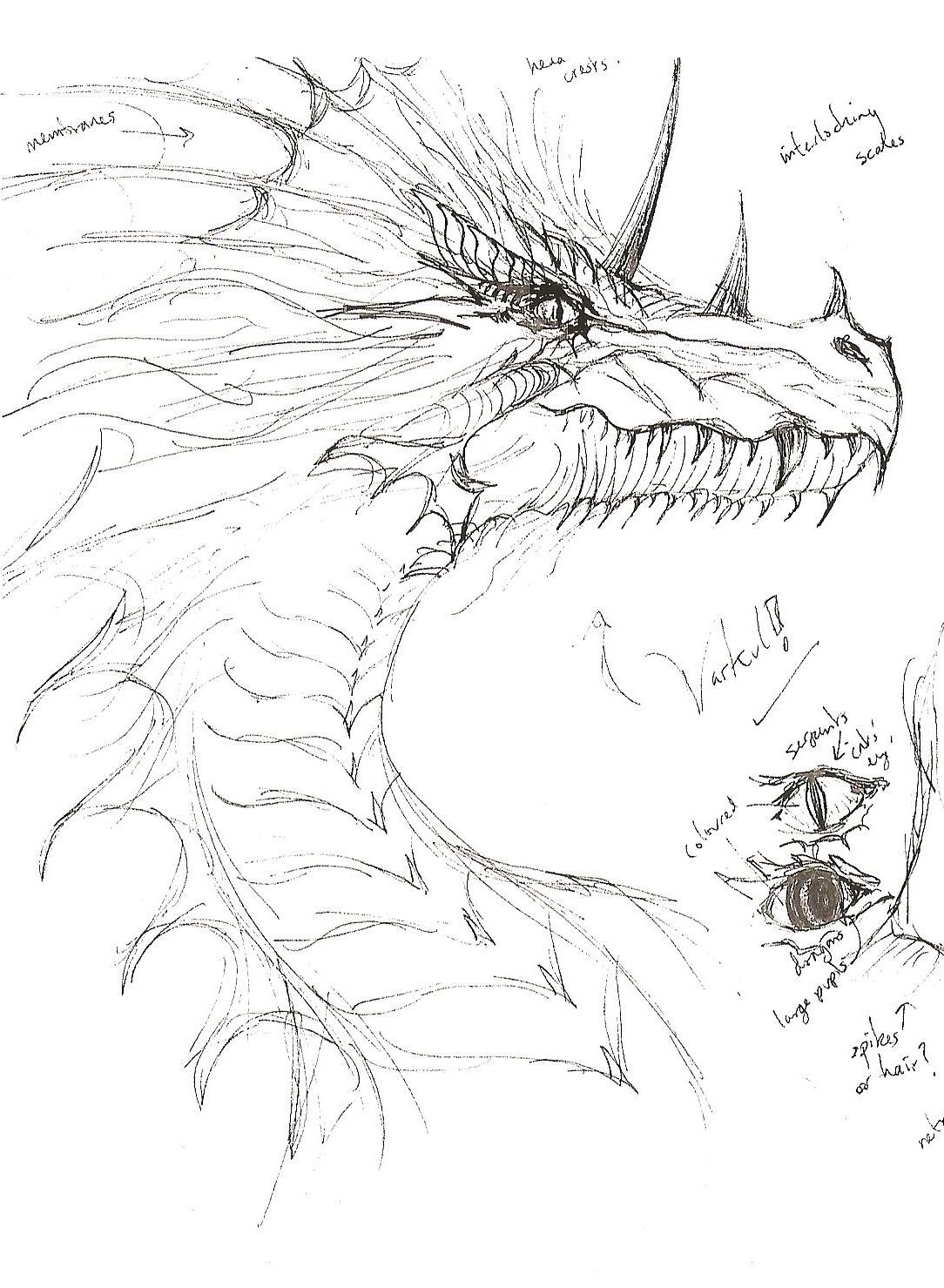 1084x1479 My Own Rough Sketch Of Evil Dragon Hybrid, Varkul, Known As 'the - Evil Dragon Drawing