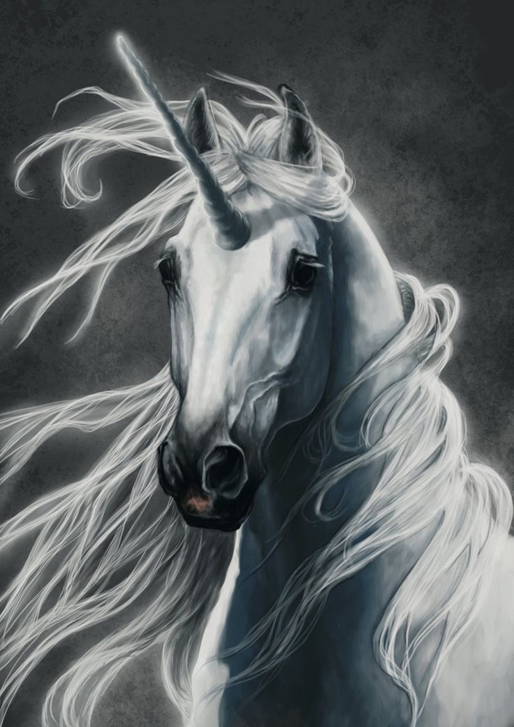 Evil Horse Drawings at PaintingValley.com | Explore collection of Evil ...