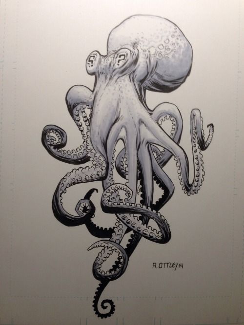 500x667 Octopus Ink Illustration See No Evil Octopus Art, Octopus - Evil Octopus Drawing
