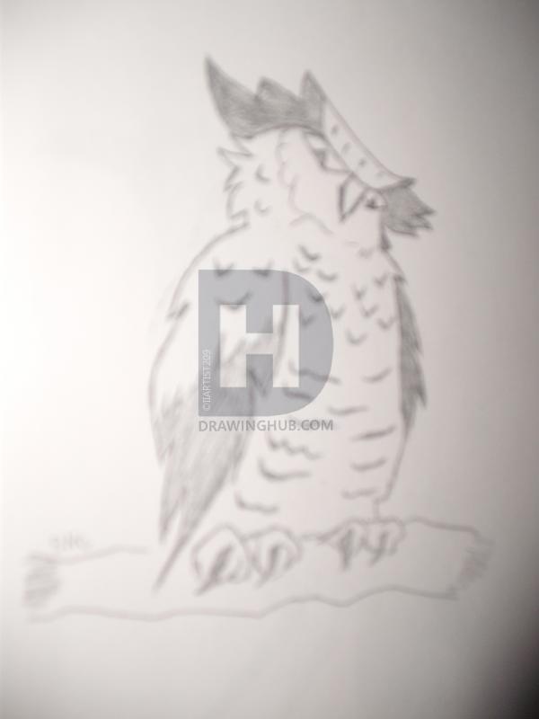 600x800 Evil Owl Drawing - Evil Owl Drawing