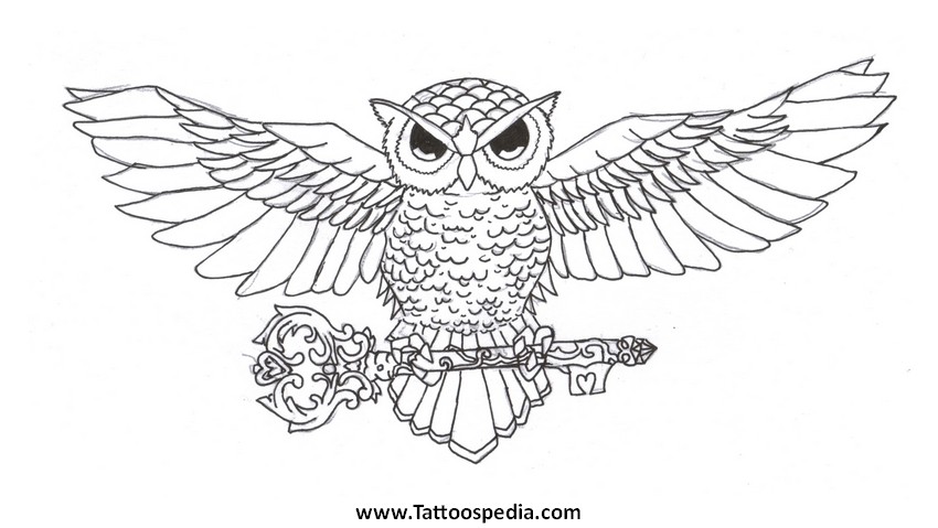 850x479 Evil Owl Tattoo - Evil Owl Drawing
