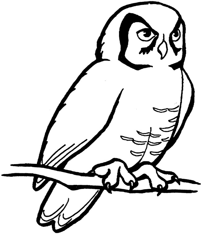 650x753 Owl Template - Evil Owl Drawing