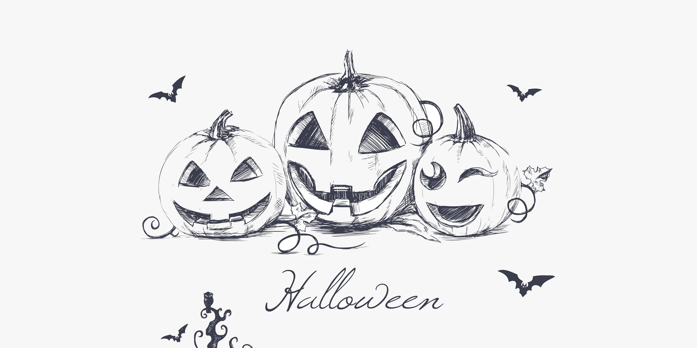 2400x1200 halloween evil pumpkins minimalism hand drawing bats creepy owl - Evil Pumpkin Drawing