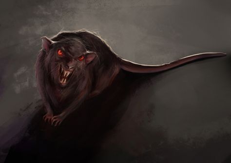 474x334 evil rats drawing evil rat - Evil Rat Drawing