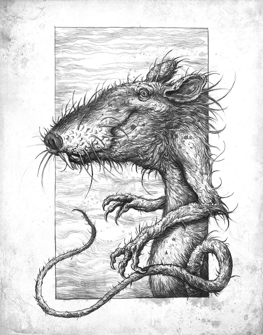 844x1074 Ivica Stevanovic - Evil Rat Drawing