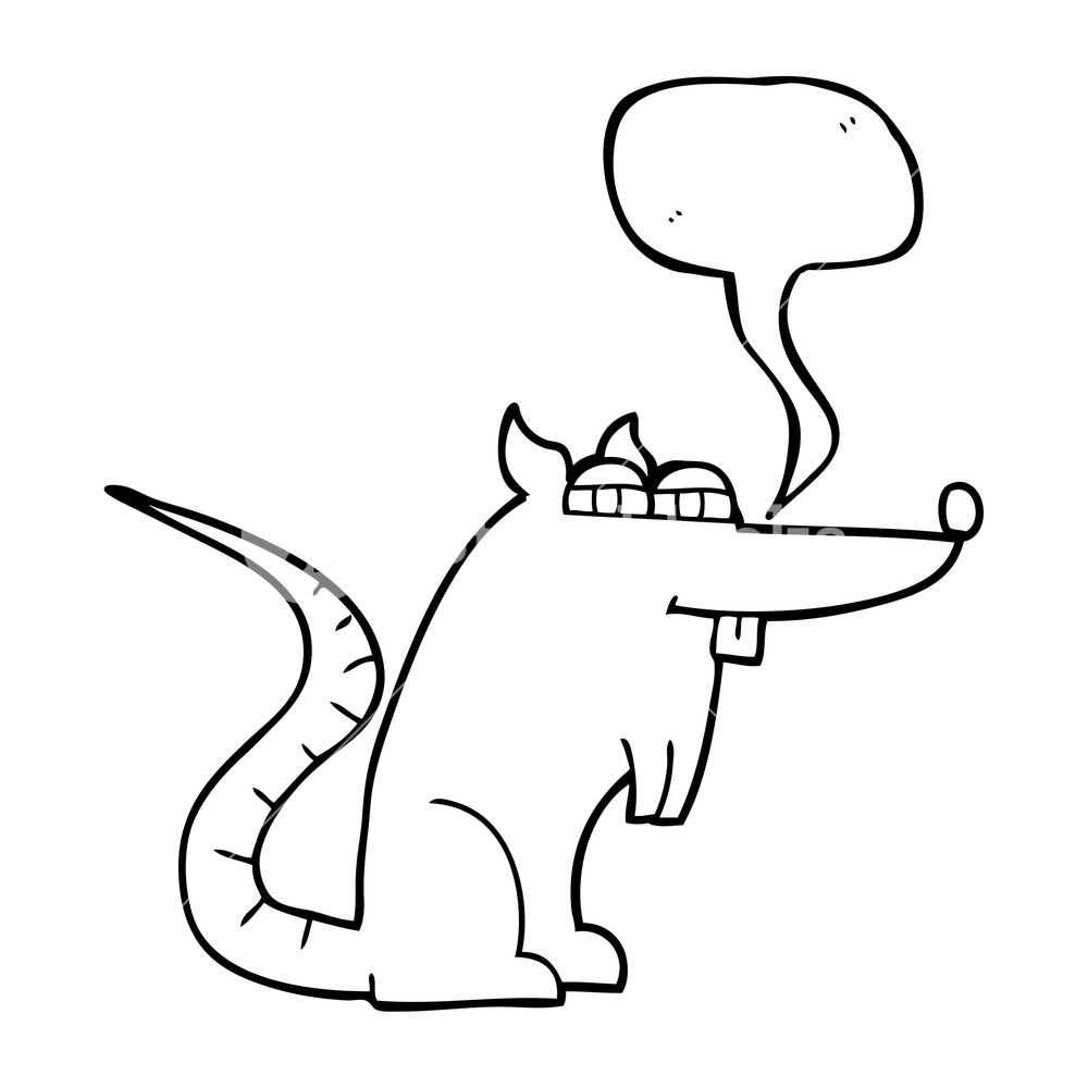 1000x1000 Freehand Drawn Speech Bubble Cartoon Evil Rat Royalty Free Stock - Evil Rat Drawing