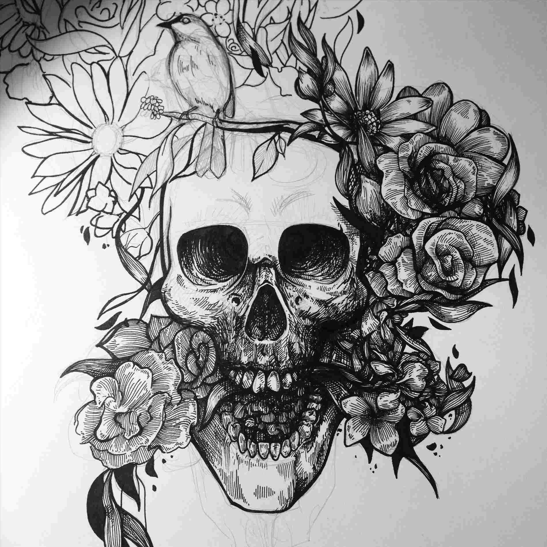 Skull Pencil Drawing