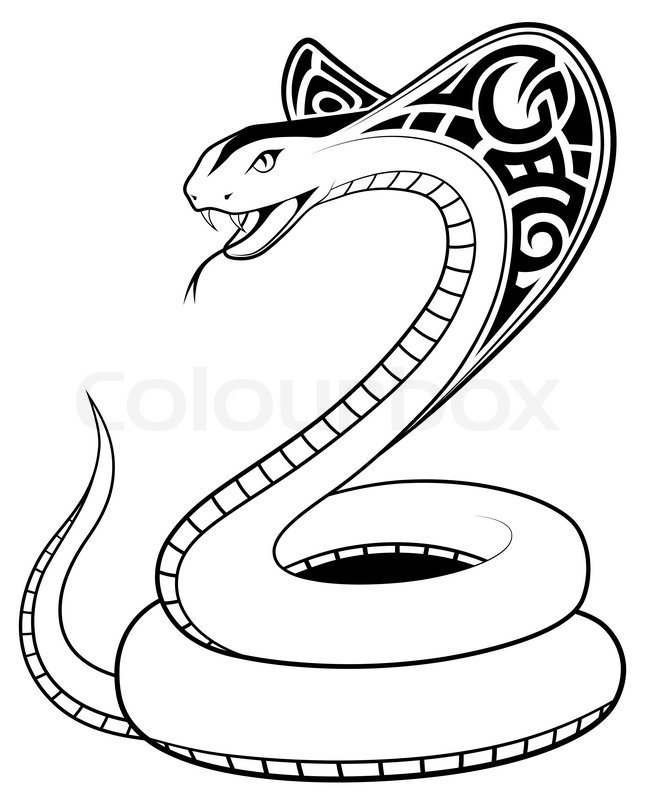650x800 Tribal Snake Tattoos - Evil Snake Drawing