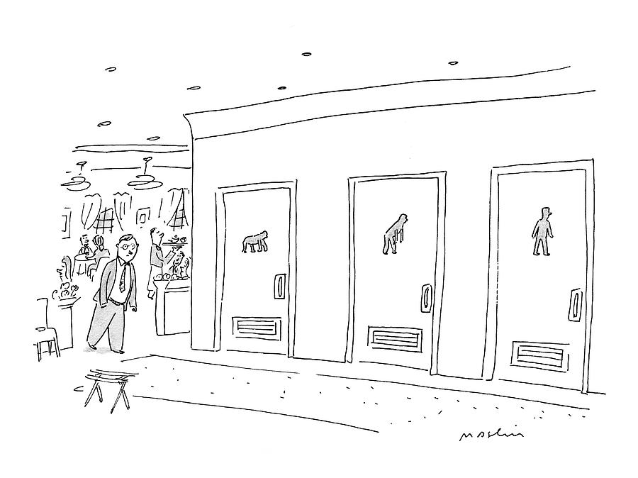 900x674 bathroom evolution drawing - Evolution Drawing