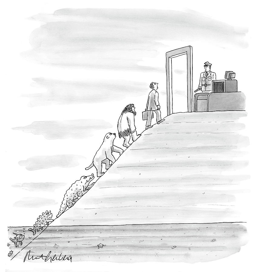 845x900 evolution of life to tsa drawing - Evolution Drawing