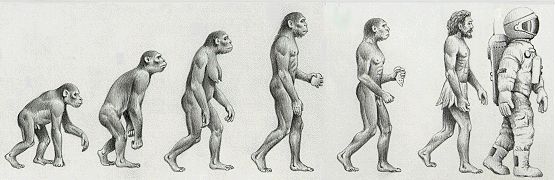 555x180 human evolution - Evolution Drawing